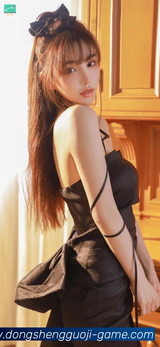 奖项证书